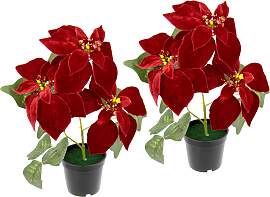 Kunstpflanze I.GE.A. "Samt-Poinsettie",