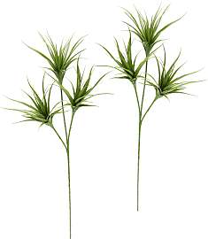 Kunstpflanze I.GE.A. "Tillandsia",