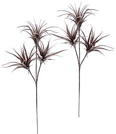 Kunstpflanze I.GE.A. "Tillandsia", lila
