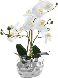 Kunstpflanze OTTO HOME "Orchidee, inklusive