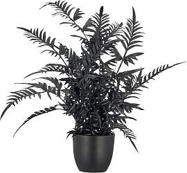 Kunstpflanze Pteris II Schwarz ca. 50cm