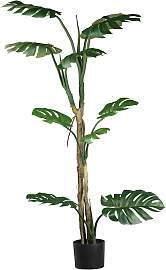 Kunstpflanze Splitphilodendron in Grün ca. 175cm