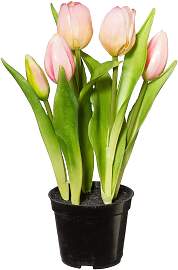 Kunstpflanze Tulpe I in Grün/Rosa