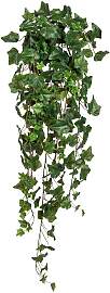Kunstranke CREATIV GREEN "Englischer