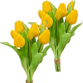 Kunsttulpe CREATIV GREEN "Tulpenbund",