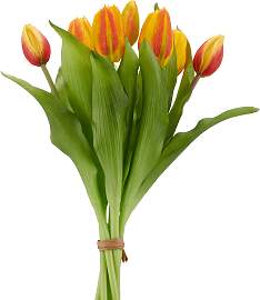 Kunsttulpe CREATIV GREEN "Tulpenbund",