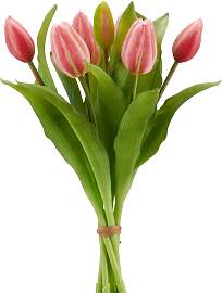 Kunsttulpe CREATIV GREEN "Tulpenbund",