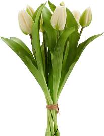 Kunsttulpe CREATIV GREEN "Tulpenbund",