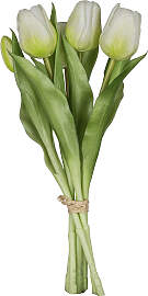 Kunsttulpe CREATIV GREEN "Tulpenbund",