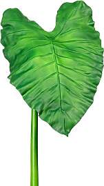 Kunstzweig CREATIV GREEN "Callablatt",