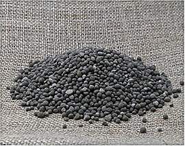 LanDixx PK-Dünger mit Magnesium 0+8+15(+6) 10 kg