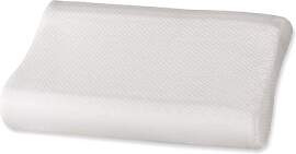 Latex-Kissen orthowell ergo