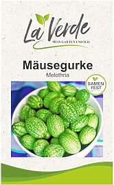 La Verde MEIN GARTEN UND ICH. Mäusegurke Samen