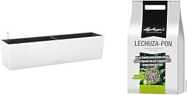 Lechuza "BALCONERA Color 80"