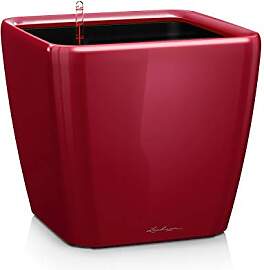 LECHUZA QUADRO Premium LS 43 scarlet rot hochglanz 