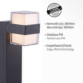 LED Gartenleuchte PAUL NEUHAUS "CARA",