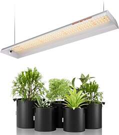 LED Pflanzenlampe Spider Farmer SF300 Anzuchtlampe 