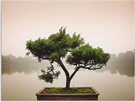 Leinwandbild ARTLAND "Chinesischer