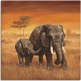 Leinwandbild ARTLAND "Elefanten II",