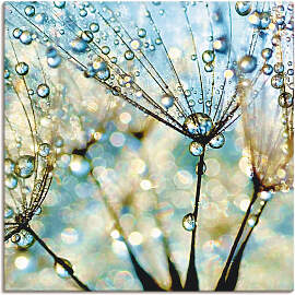 Leinwandbild ARTLAND "Pusteblume Blaue