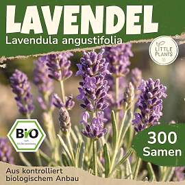 Little Plants BIO Lavendel Samen 300 Lavendelsamen 