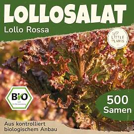 Little Plants BIO Lollo Rossa Salat Samen 500