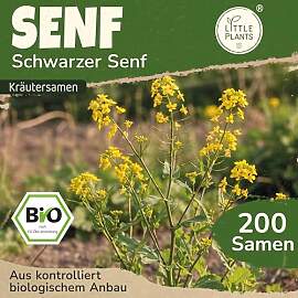 Little Plants BIO Senf Samen 200 Senfsamen Schwarz 