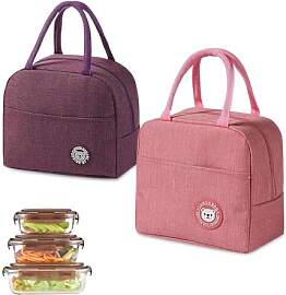 LNSYSNS 2 Stück Isolierte Lunchtasche, Faltbarer