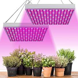 Lospitch 2X45W LED Pflanzenlampe, 225 Rot&Blau 