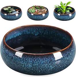 Lotus Bonsai Schale, Lotus Pflanze Keramik