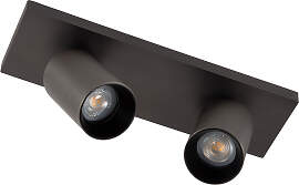 Lynn 2 Deckenstrahler Gun Metal