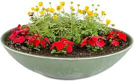 matches21 HOME & HOBBY Große Pflanzschale