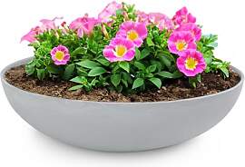 matches21 HOME & HOBBY Pflanzschale für