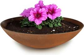 matches21 HOME & HOBBY Pflanzschale für