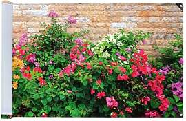Maximex Balkon-Sichtschutz Mauerblumen, UV- und