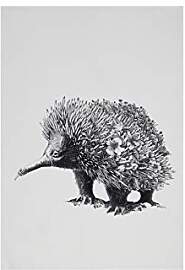 Maxwell & Williams Geschirrtuch Echidna 100%