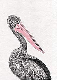 Maxwell & Williams Marini Ferlazzo Birds