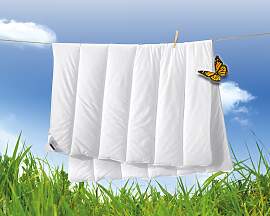 Microfaserbettdecke BILLERBECK "Liliane,