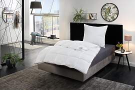 Microfaserbettdecke + Kopfkissen RIBECO