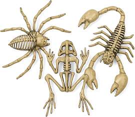 MIJOMA Halloween Tier Skelett Set 3-teilig –