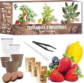 Mini-Obstbaum-Set zum Anbau – Erdbeere,