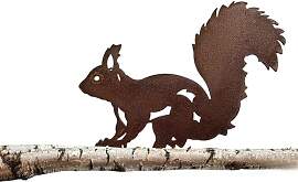 Molyorch Rostiges Eichhörnchen, Vögel