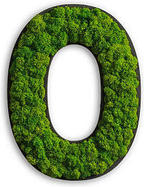 Moosbild Stylegreen, Grün, Naturmaterialien,