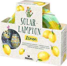 moses. Blatt & Blüte Solarlampion –