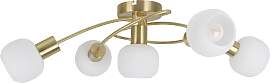 NÄVE Deckenleuchte "Learta", gold, 5,