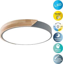 NÄVE LED Deckenleuchte "Borneo", grau,