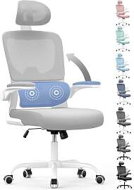 naspaluro Bürostuhl, Ergonomischer Bürostuhl mit 