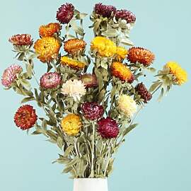 Natürlicher Trockenblumenstrauß - 20 Stück