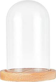 nbeads Deko Glasglocke mit Holzboden, Transparente 