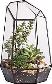 NCYP 16,5x16,5x25cm Glas Geometrisches Terrarium
